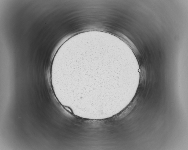 X0000111650812200908281048