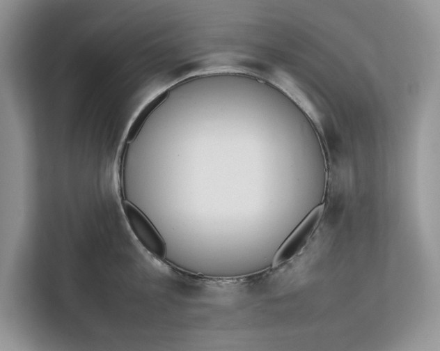 X0000111650813200908281048