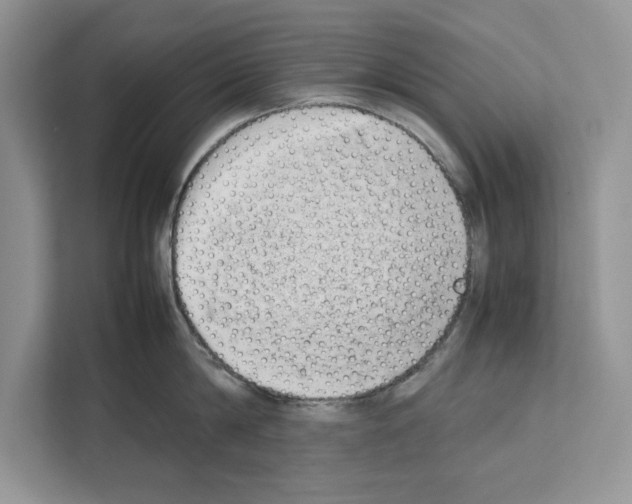 X0000111650814200908281048