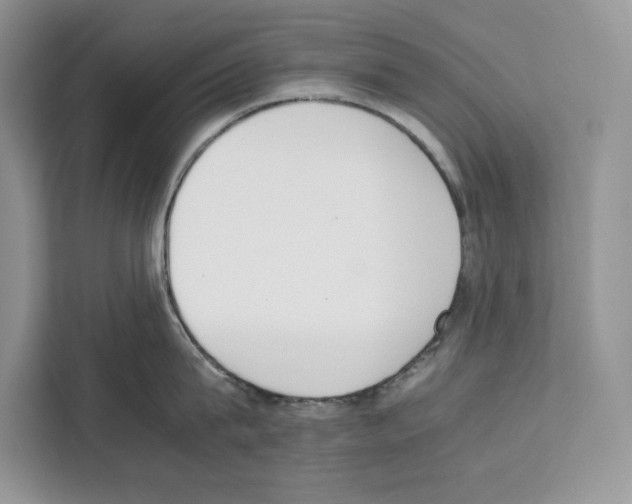 X0000111650815200908281048