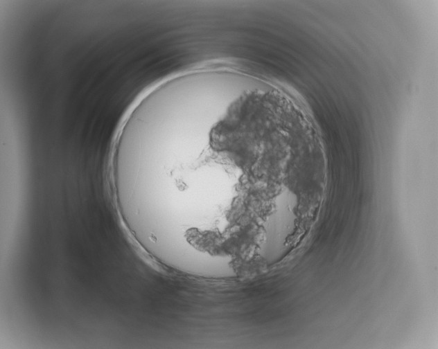 X0000111650816200908281048