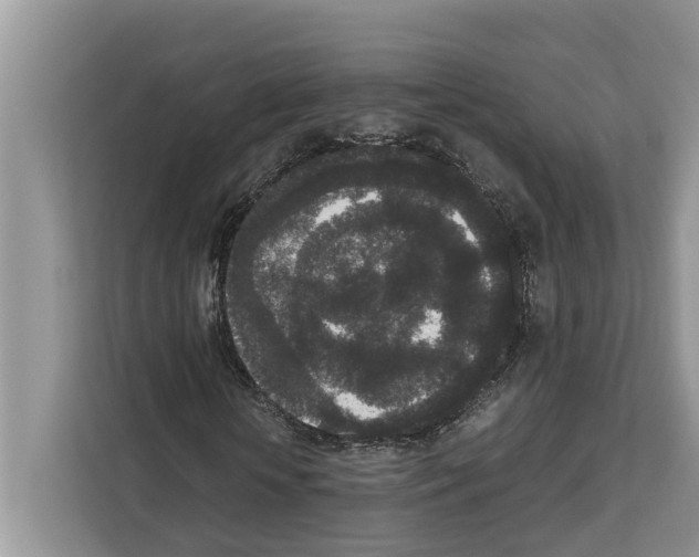 X0000111650818200908281047