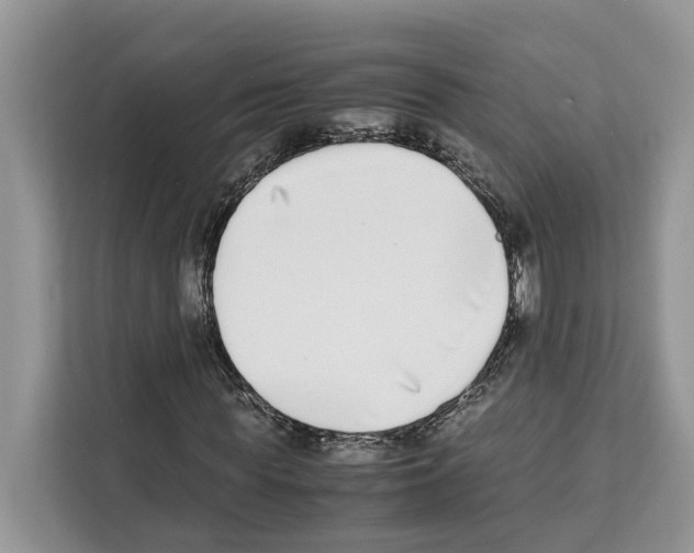 X0000111650819200908281047