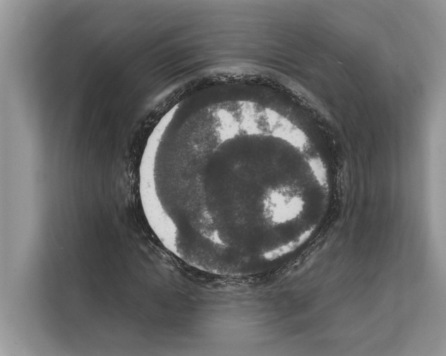 X0000111650822200908281047