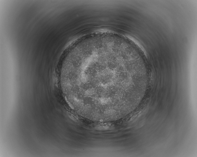 X0000111650823200908281047