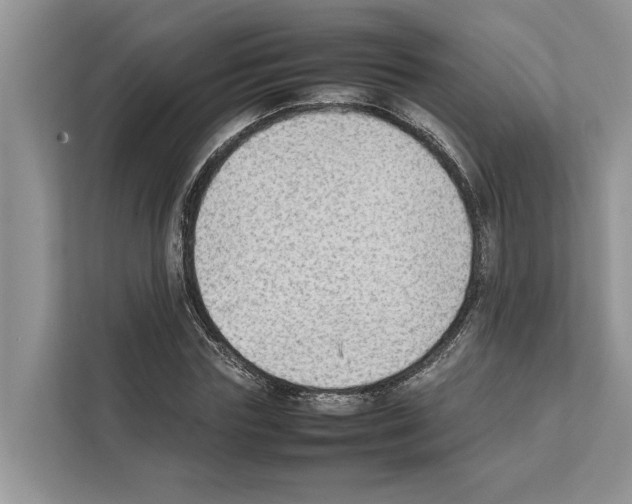 X0000111650827200908281047