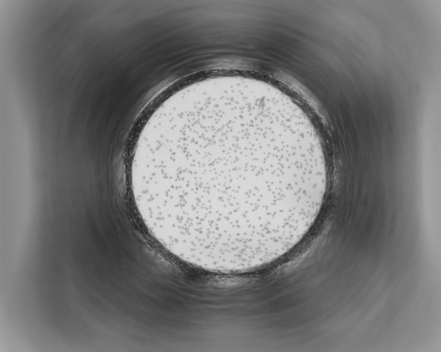 X0000111650829200908281047