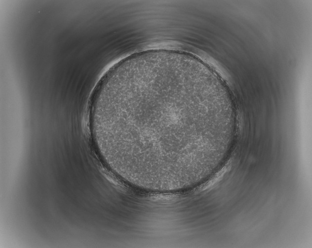 X0000111650830200908281047