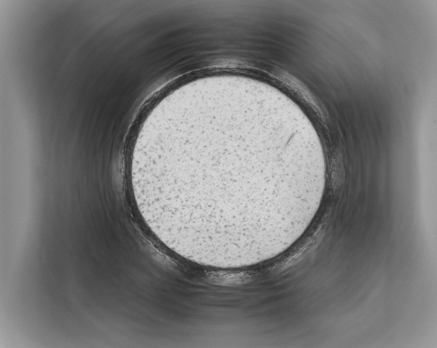 X0000111650831200908281047