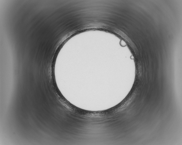 X0000111650834200908281047