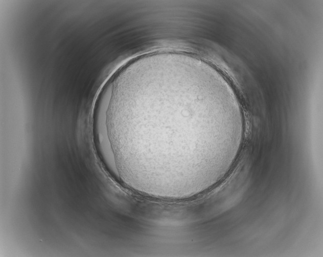 X0000111650836200908281047