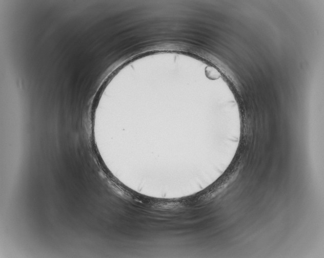 X0000111650837200908281047