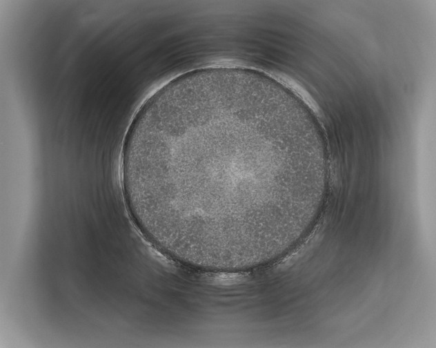 X0000111650839200908281047