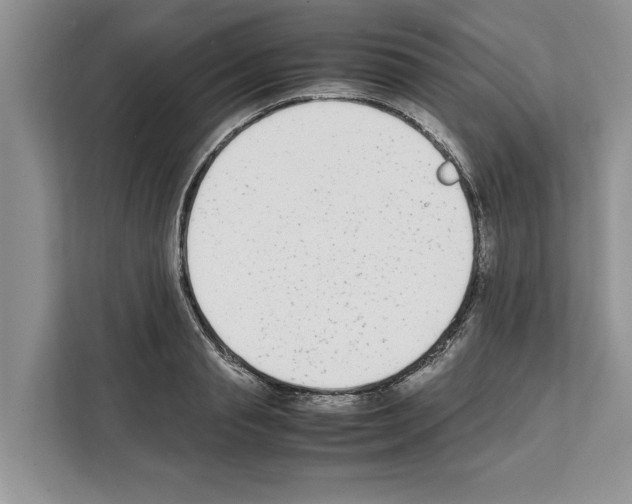 X0000111650845200908281048