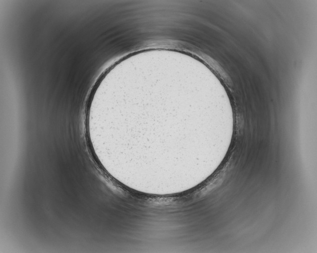 X0000111650846200908281048
