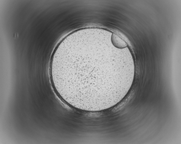 X0000111650847200908281048