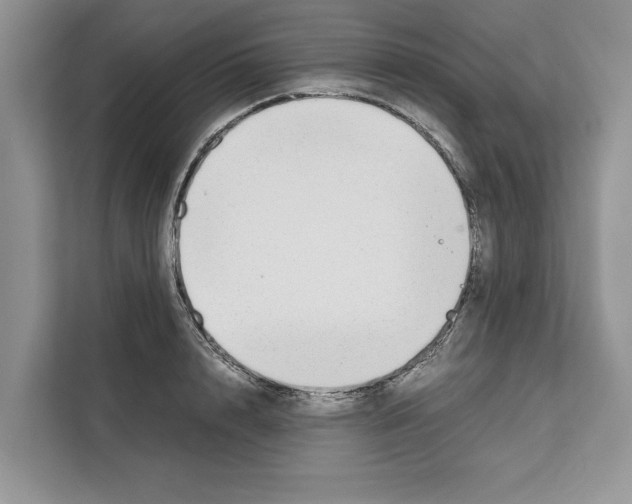 X0000111650848200908281048
