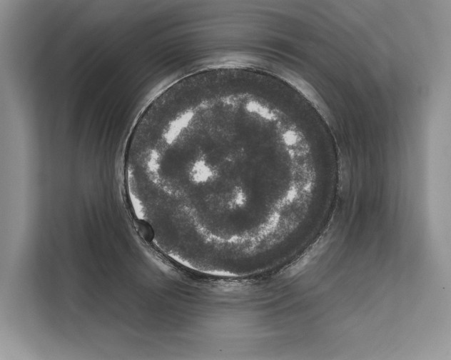 X0000111650850200908281048