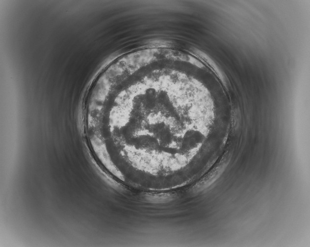 X0000111650851200908281048