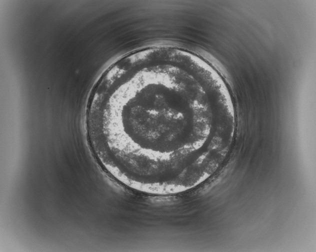 X0000111650853200908281048