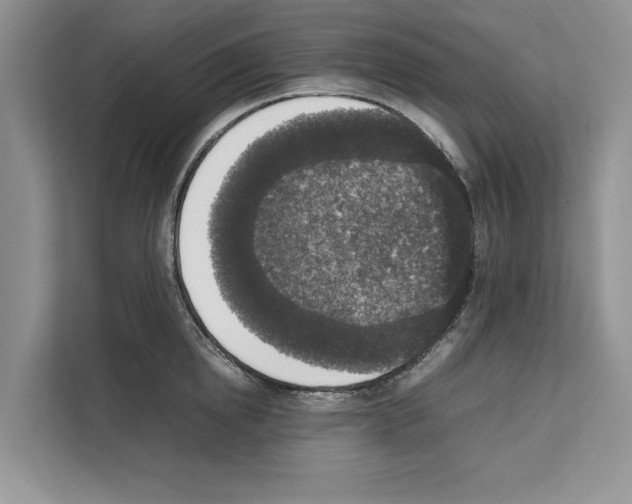 X0000111650854200908281048
