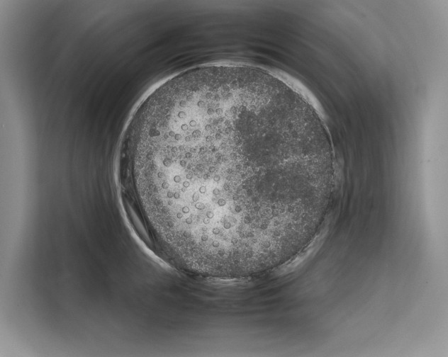 X0000111650855200908281048