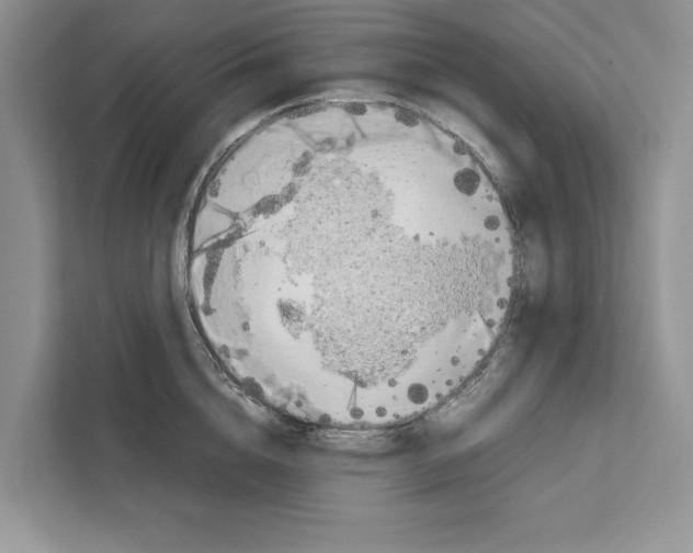 X0000111650856200908281048