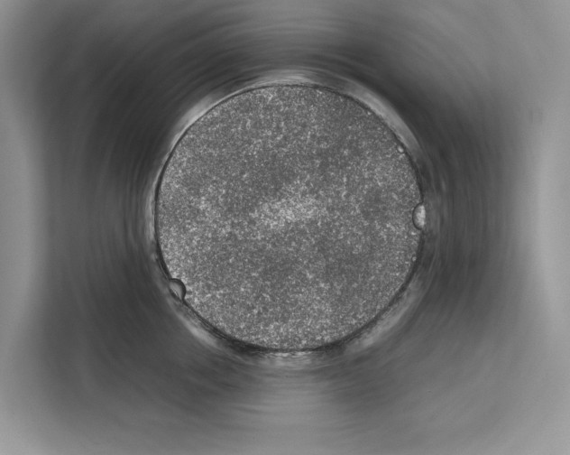 X0000111650858200908281048