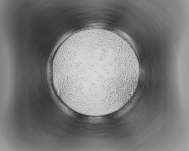 X0000111650859200908281048