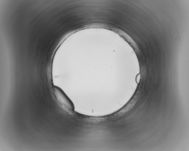 X0000111650860200908281048