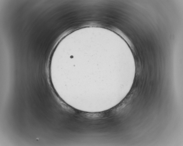 X0000111650861200908281048