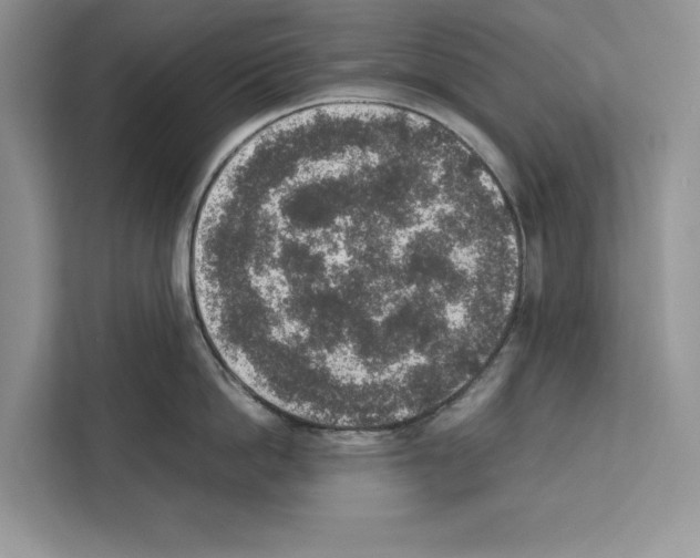 X0000111650862200908281048
