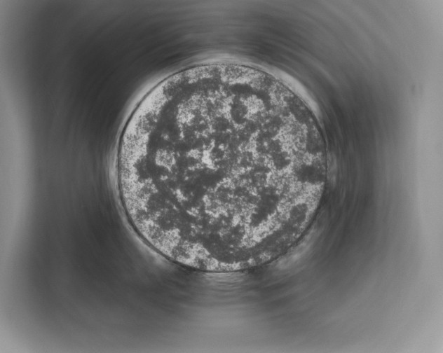 X0000111650863200908281048