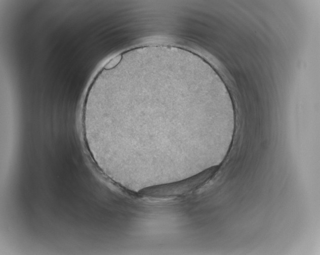 X0000111650864200908281048