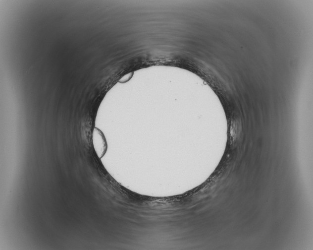 X0000111650867200908281047
