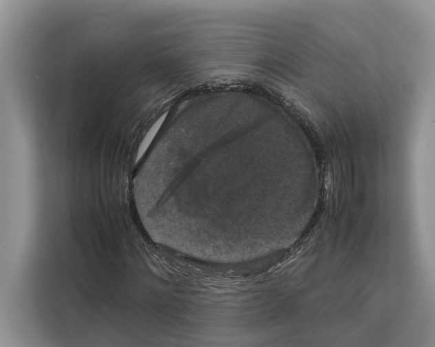 X0000111650868200908281047