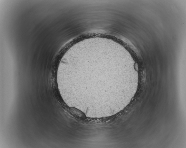 X0000111650872200908281047