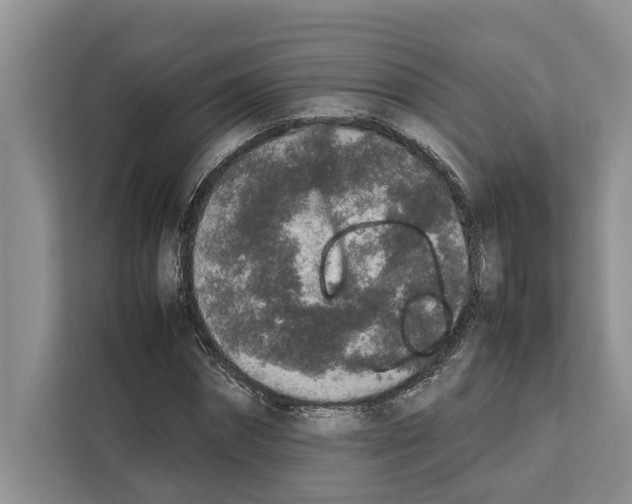 X0000111650874200908281047