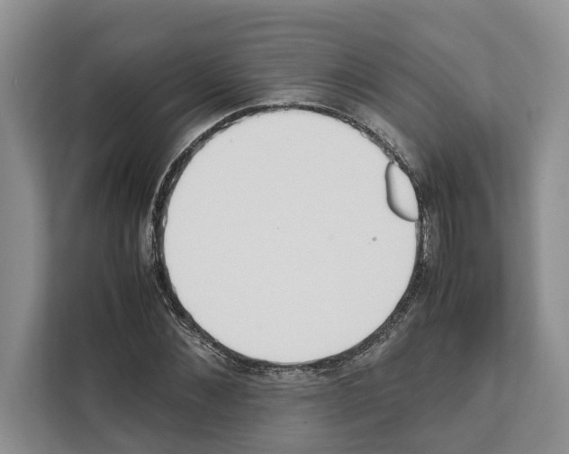 X0000111650876200908281047