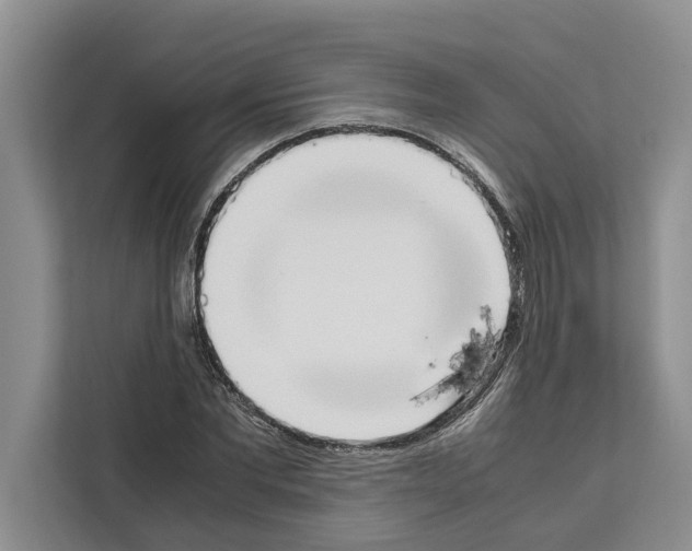 X0000111650877200908281047
