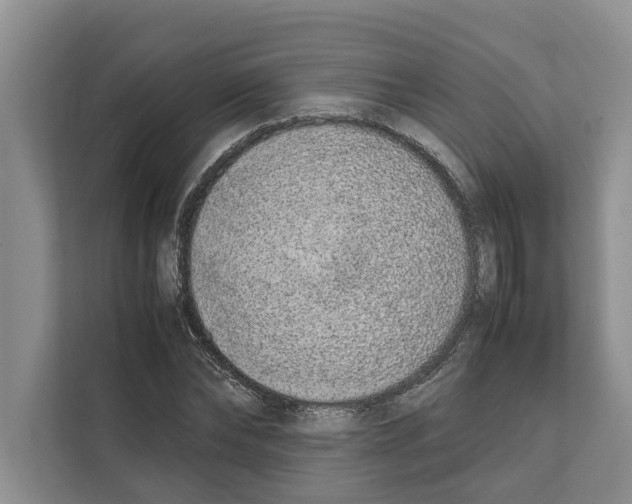 X0000111650878200908281047