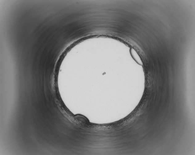 X0000111650880200908281047