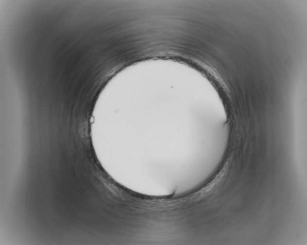 X0000111650881200908281047
