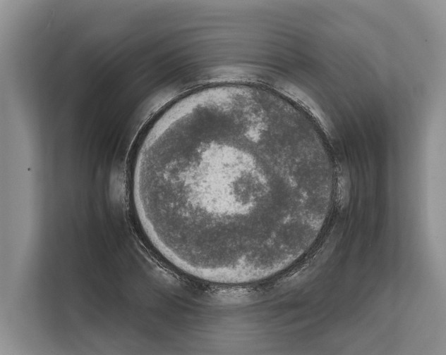 X0000111650882200908281047