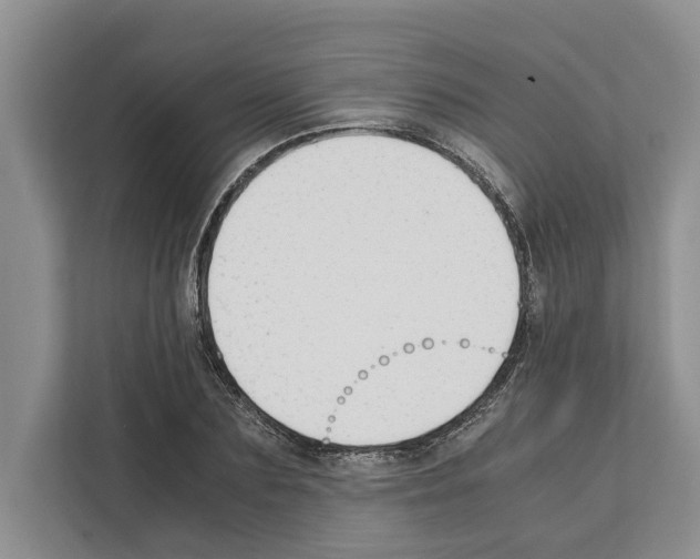 X0000111650883200908281047