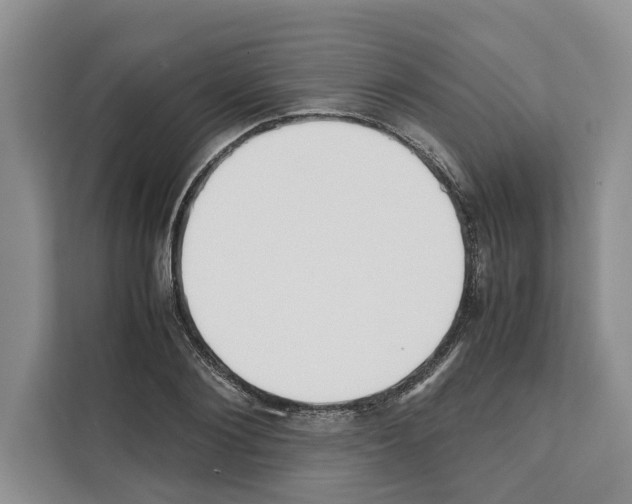X0000111650884200908281047