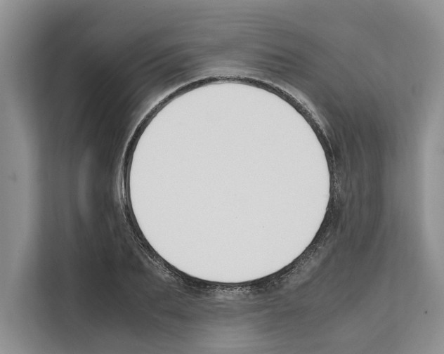 X0000111650887200908281047