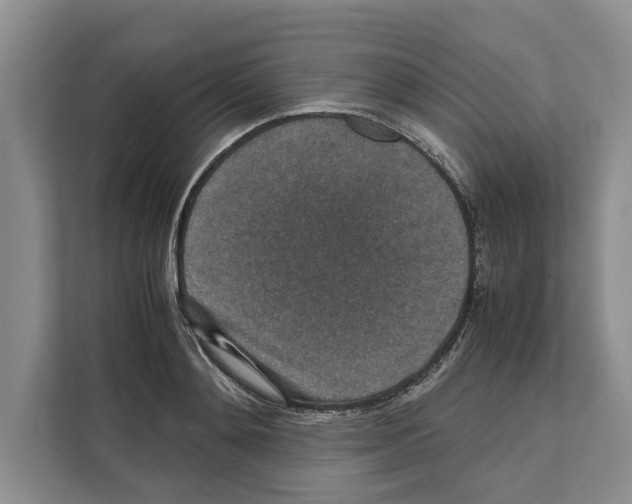 X0000111650892200908281047