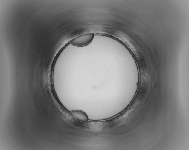 X0000111650893200908281047
