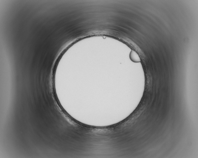 X0000111650894200908281047